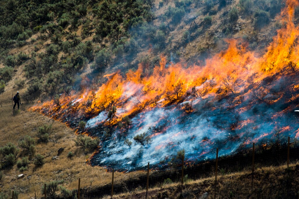 In this July 30, 2018 photo, firefighters control the Tollgate Canyon fire as it burns near Wanship, Utah. Mitt Romney is calling for a high-tech early detection system and more logging to prevent wildfires ravaging the U.S. West. The Republican running for a U.S. Senate seat in his adopted home state of Utah said in an essay Tuesday, Aug. 7, 2018, that government can do more to prevent fires there and other places like California, which is fighting its largest wildfire in state history. (Rick Egan/The Salt Lake Tribune via AP)