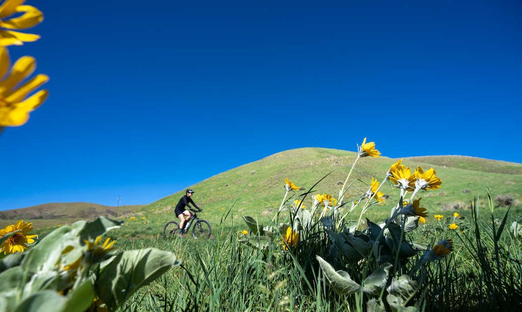 (Rick Egan | The Salt Lake Tribune) A bicyclist rides on a trail in the foothills above Salt Lake City, near City Creek Canyon, on Saturday, May 8, 2021.
