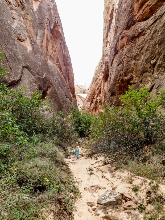 Erin Alberty  |  The Salt Lake TribuneWalls rise above the author's daughter in Surprise Canyon on Oct. 4, 2015 at Capitol Reef National Park.