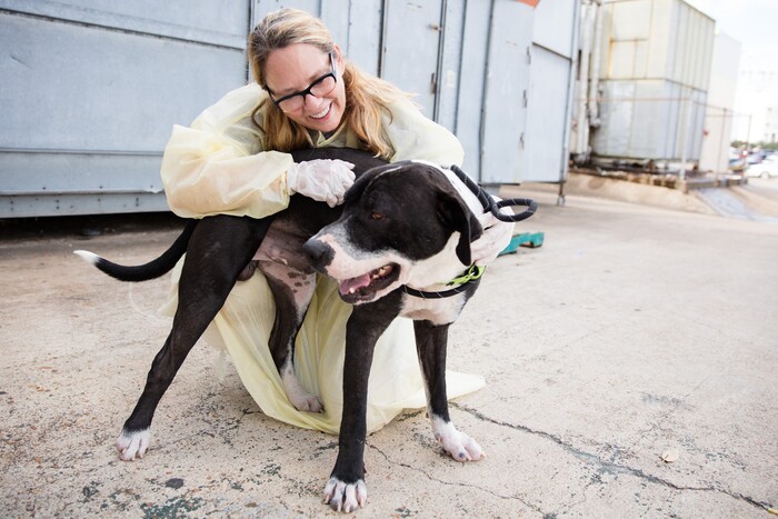 (Photo courtesy Sarah Ause/Best Friends) Julie Castle is the new CEO of Best Friends Animal Society.