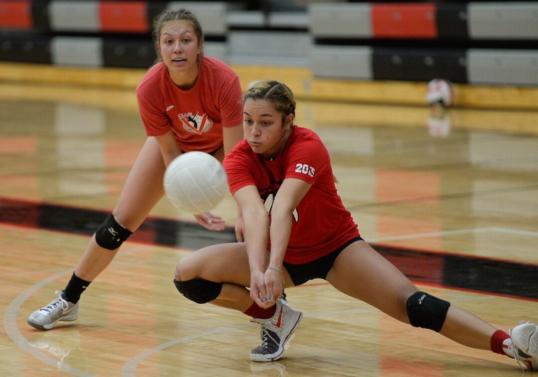 (Francisco Kjolseth  |  The Salt Lake Tribune)  American Fork setter Tayler Tausinga, one of the best setters in the state, is headed to BYU.