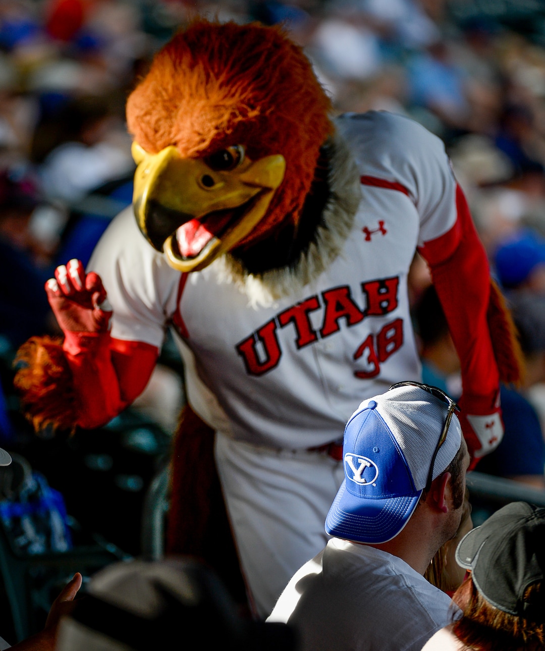 (Francisco Kjolseth  |  The Salt Lake Tribune)  Swoop has a little fun with the BYU fans as Utah and BYU renew their rivalry on the baseball diamond as they battle it out at Smith's Ballpark in Salt Lake City on Tuesday, May 14, 2019.