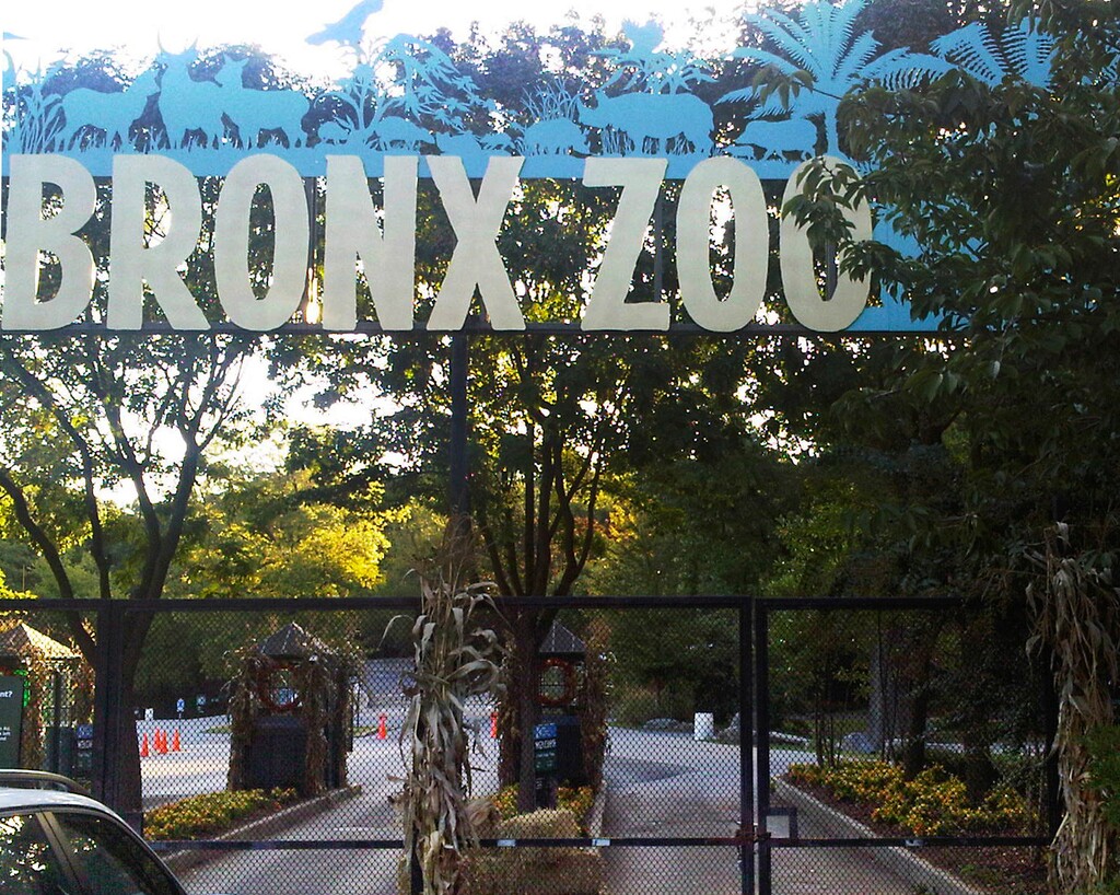 (Jim Fitzgerlad | AP file photo) This 2012 photo shows an entrance to the Bronx Zoo in New York. A tiger at the zoo has tested positive for the new coronavirus. It's believed to be the first infection in an animal in the U.S. and the first known in a tiger anywhere, the U.S. Department of Agriculture said Sunday, April 5, 2020. The zoo says all the animals are expected to recover.