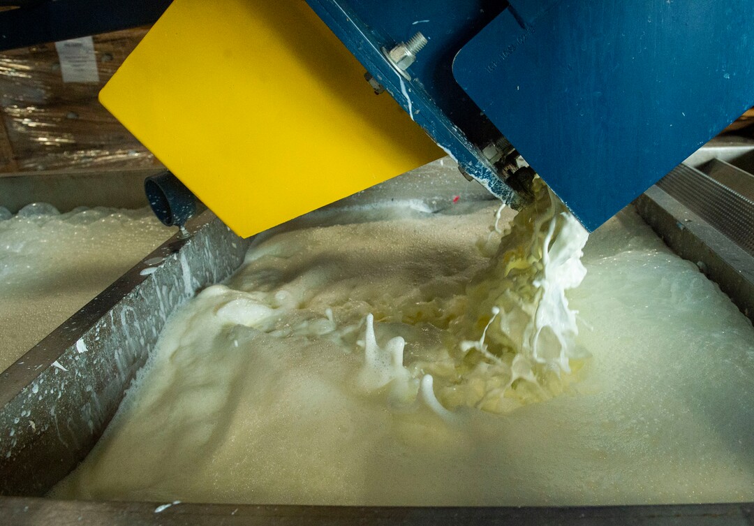 (Rick Egan  |  The Salt Lake Tribune)   Milk is comes out of the de-bottling machine at Wasatch Resource Recovery in North Salt Lake.  Friday, May 24, 2019.