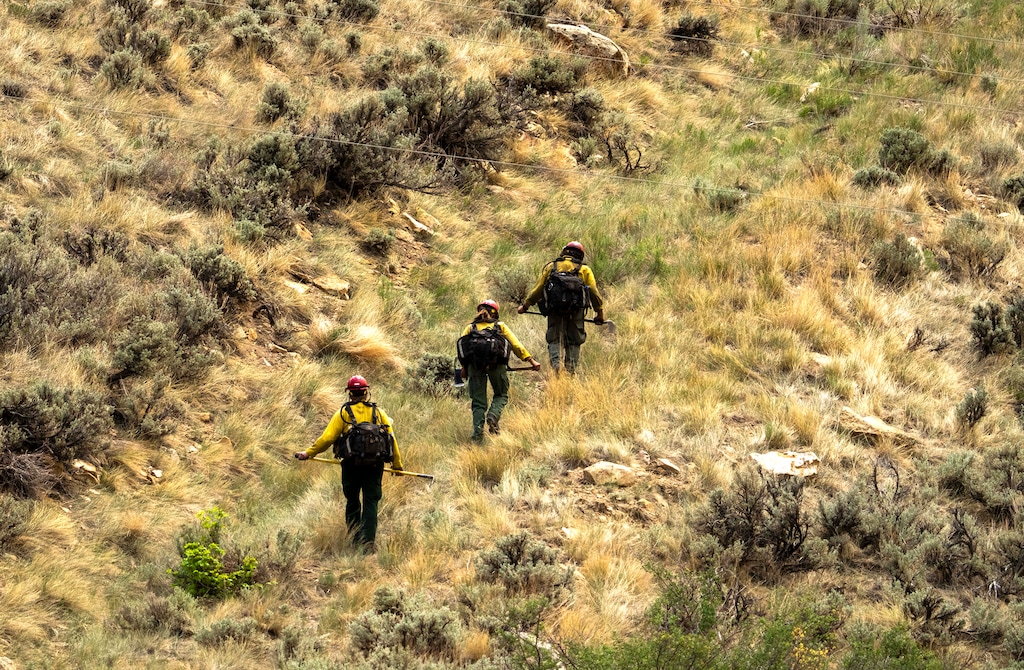 (Rick Egan | The Salt Lake Tribune)  Firefighters hike in the hills near the Bear Fire, in the mountains northwest of Helper on Wednesday, June 9, 2021.