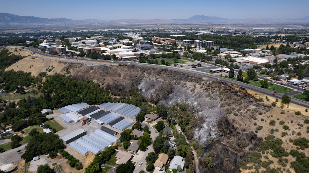 (Francisco Kjolseth | The Salt Lake Tribune) Burnt acreage shows the aftermath of the Canyon Road Fire in Logan that ignited the night before, scorching approximately 17 acres. Investigators say the fire originated in a Utah State University compost pile.