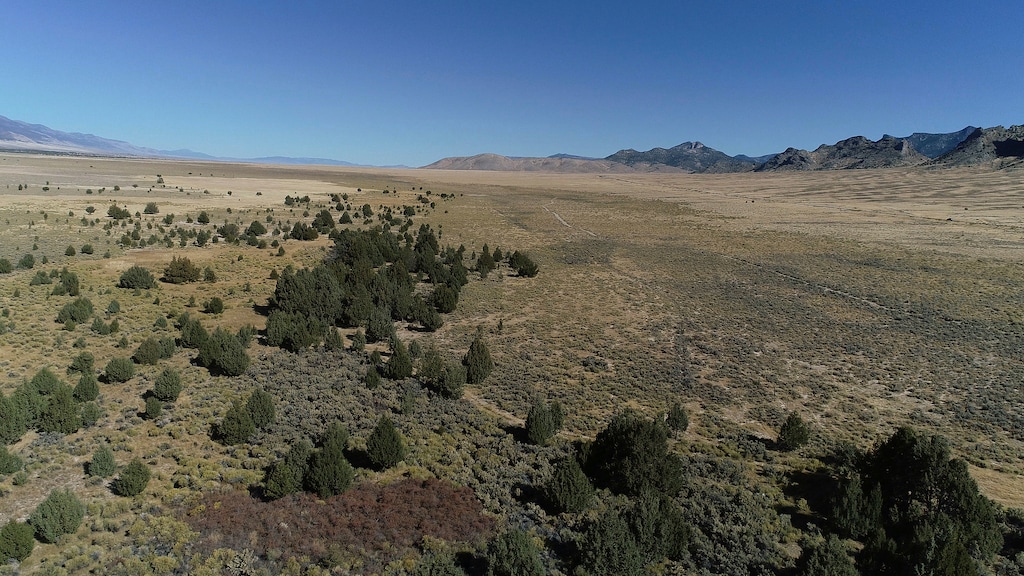 (Benjamin Spillman | The Reno Gazette-Journal via AP) The Swamp Cedar Natural Area, a tribal site known as the swamp cedars, considered sacred by a number of Shoshone tribes in Ely, northeast Nevada. Lawmakers are considering strengthening protections for trees that Native Americans in northeastern Nevada consider sacred. The Duckwater and Ely Shoshone tribes have used swamp cedars in Spring Valley to memorialize their ancestors lost in three 19th century massacres and have long joined others in efforts to block a proposed pipeline that would siphon groundwater from rural valleys to Las Vegas.