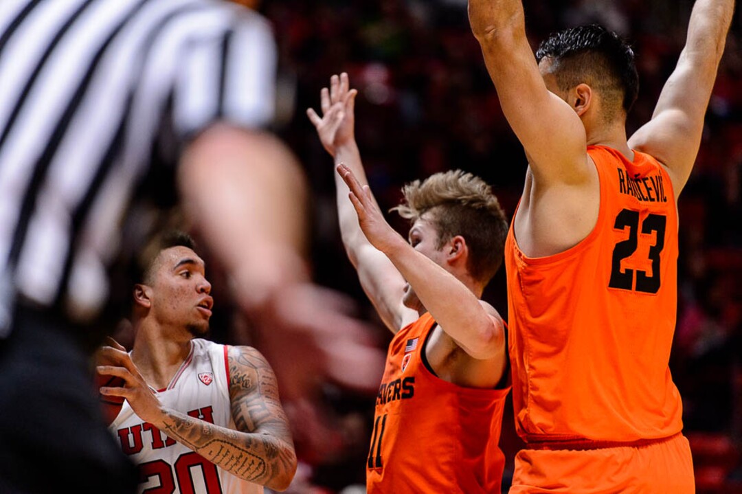 (Trent Nelson | The Salt Lake Tribune)  Utah Utes forward Timmy Allen (20) looks to pass, defended by Oregon State Beavers guard Zach Reichle (11) and Oregon State Beavers center Gligorije Rakocevic (23) as Utah hosts Oregon State, NCAA basketball in Salt Lake City on Saturday Feb. 2, 2019.