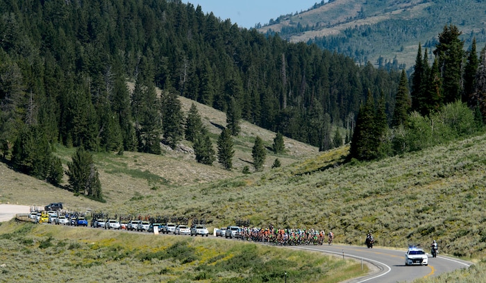 Steve Griffin  |  The Salt Lake TribuneThe peloton climbs up Logan Canyon during Stage 1 of the Tour of Utah bicycle race from Logan around Bear Lake and back to Logan Monday July 31, 2017.