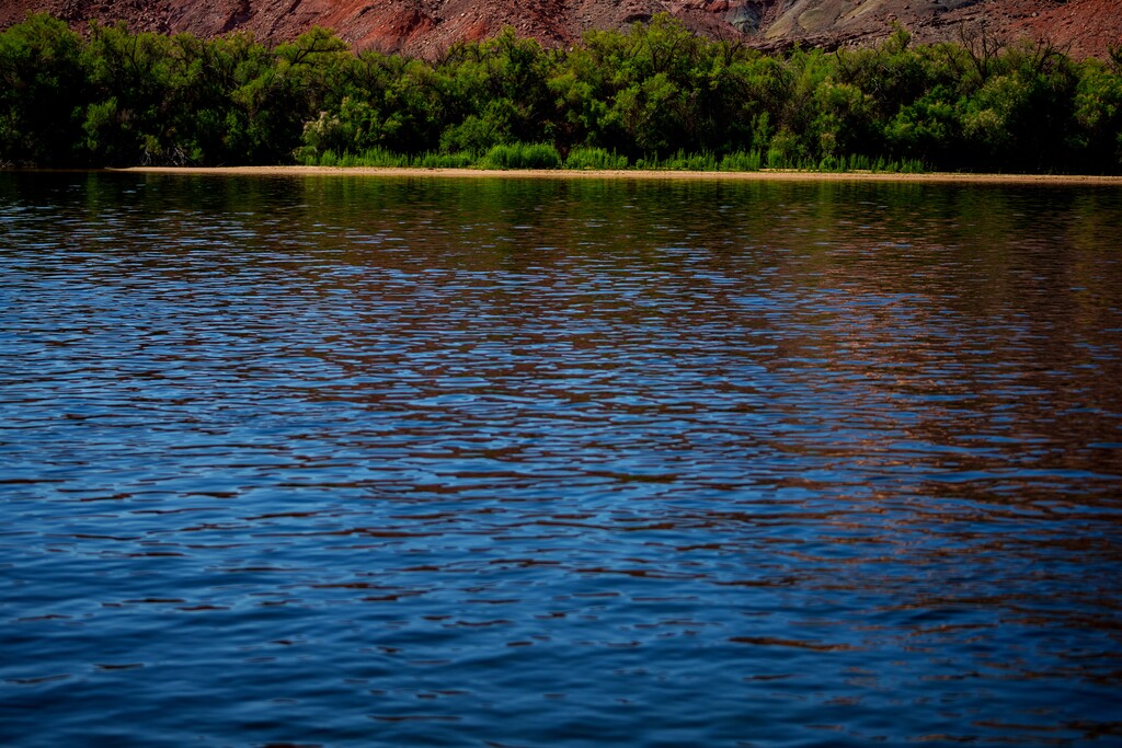 (Trent Nelson  |  The Salt Lake Tribune) The Colorado River at Lees Ferry in Marble Canyon, Ariz., on Tuesday, May 20, 2025.