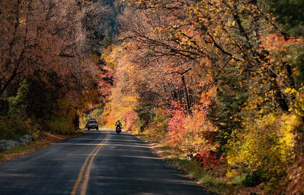 (Francisco Kjolseth | The Salt Lake Tribune) Fall colors make for a vibrant drive along Mill Creek Canyon above the winter gate on Thursday, Oct. 7, 2021. Salt Lake County is proposing to widen the upper half of the 9-mile road, an upgrade that could alter the character of the popular year-round destination.