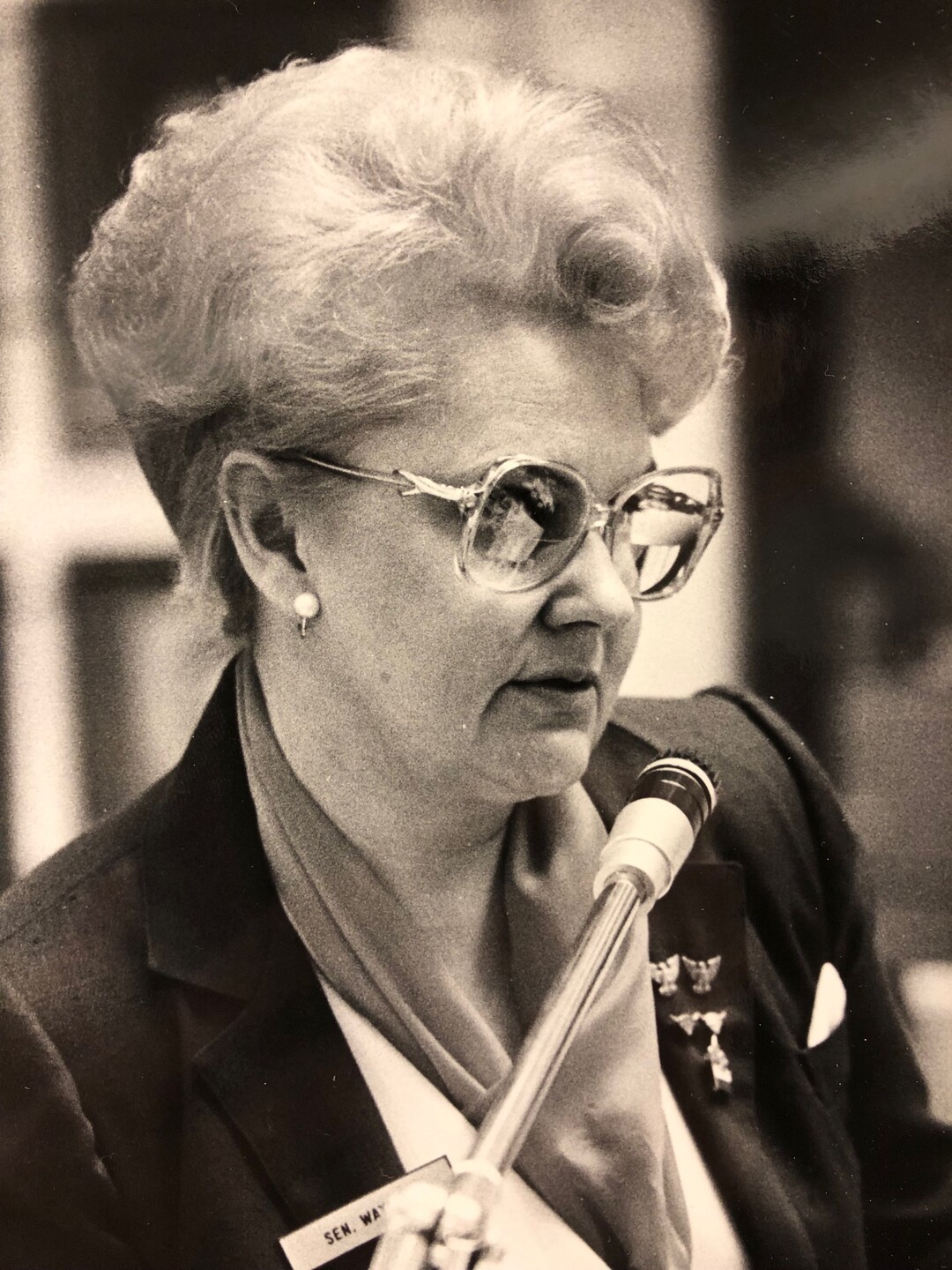 Dona Wayment served in the Utah State Senate 1981-1986.