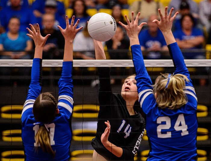 (Trent Nelson | The Salt Lake Tribune) Rich's #14 hits the ball as Panguitch defeats Rich in the 1A State Volleyball Championship game in Orem, Saturday October 28, 2017.