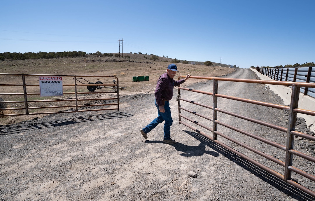 (Francisco Kjolseth  | The Salt Lake Tribune) Randy Revoir, a Nephi rancher, checks in on his cattle in Juab County on Thursday, April 8, 2021. Revoir has banded together with other livestock producers to form the Central Utah Livestock Association, a group that offers a $20,000 reward for tips leading to the arrest of anyone who kills a member's animal. Livestock shootings soared in 2020 during the pandemic, but the reasons for the increase are unclear.