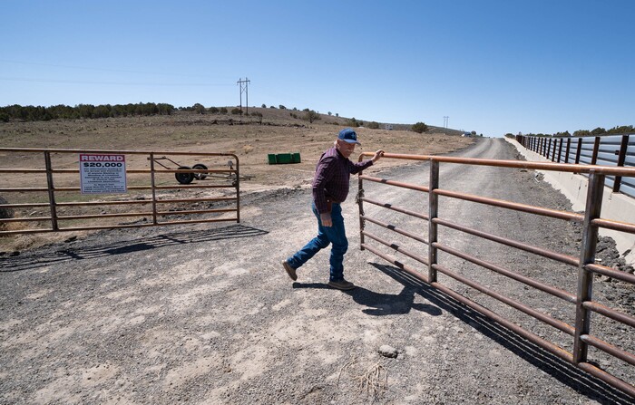 (Francisco Kjolseth | The Salt Lake Tribune) Randy Revoir, a Nephi rancher, checks in on his cattle in Juab County on Thursday, April 8, 2021. Revoir has banded together with other livestock producers to form the Central Utah Livestock Association, a group that offers a $20,000 reward for tips leading to the arrest of anyone who kills a member's animal. Livestock shootings soared in 2020 during the pandemic, but the reasons for the increase are unclear.