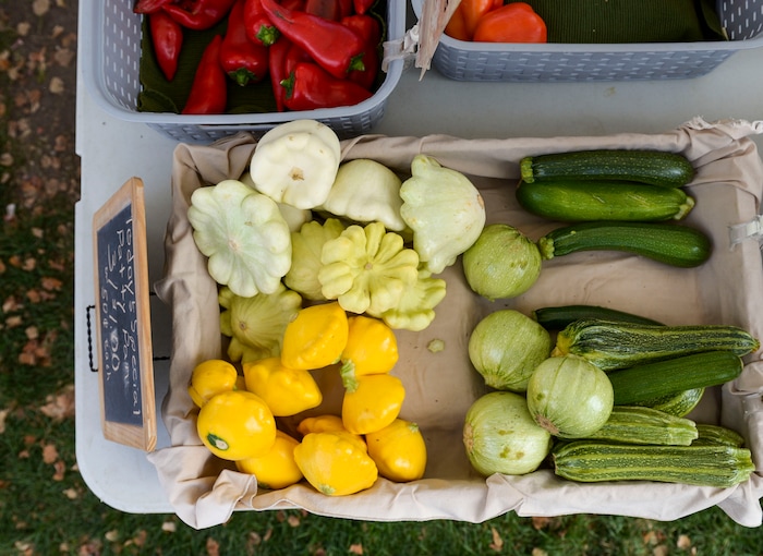(Leah Hogsten  |  The Salt Lake Tribune) Customers on final day of the Salt Lake City Farmer's Market, were treated to apples, honey, pumpkins, tomatoes, tart cherries, onions, garlic, peppers, squash and zucchini, Oct. 24, 2020.