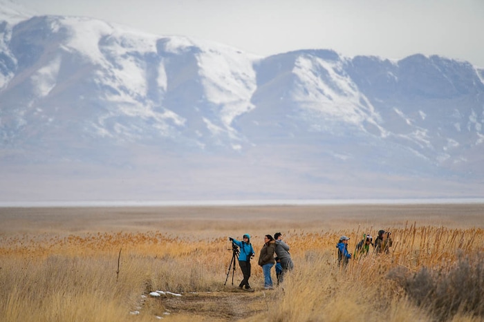 (Trent Nelson | The Salt Lake Tribune)  Birdwatchers stand watch as Great Salt Lake Audubon hosts the 9th Annual Gullstravaganza, gull-watching event at Farmington Bay on Saturday Feb. 2, 2019.