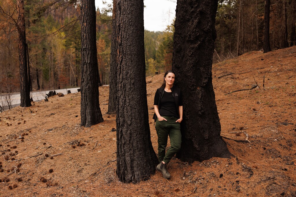 (John Stember | The New York Times) Susan Prichard, a fire ecologist, in a recent wildfire burn area in the Wenatchee National Forest, April 21, 2026. A research lab in Washington State tracks ecological changes in a warming climate and provides scientific guidance for forest managers. It is one of 57 such facilities being shuttered.