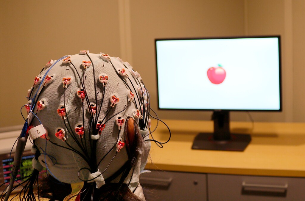 (Rob Reinhart | Boston University via AP) A cap administers electrical stimulation and monitors brain waves for a visual working memory test at one of Boston University's laboratories. A study released on Monday, April 8, 2019, finds that zapping the brains of people over 60 with a mild electrical current improved a form of memory enough that they performed like people in their 20s.