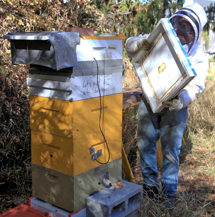 In a Monday, Oct. 17, 2017 photo, Vladimir Kulyukin prepares to change a battery in a BeePi system at a honeybee hive in Logan, Utah. The Utah State University computer science professor started a Kickstarter campaign for the device and surpassed his goal within the first two weeks. (John Zsiray/The Herald Journal via AP)