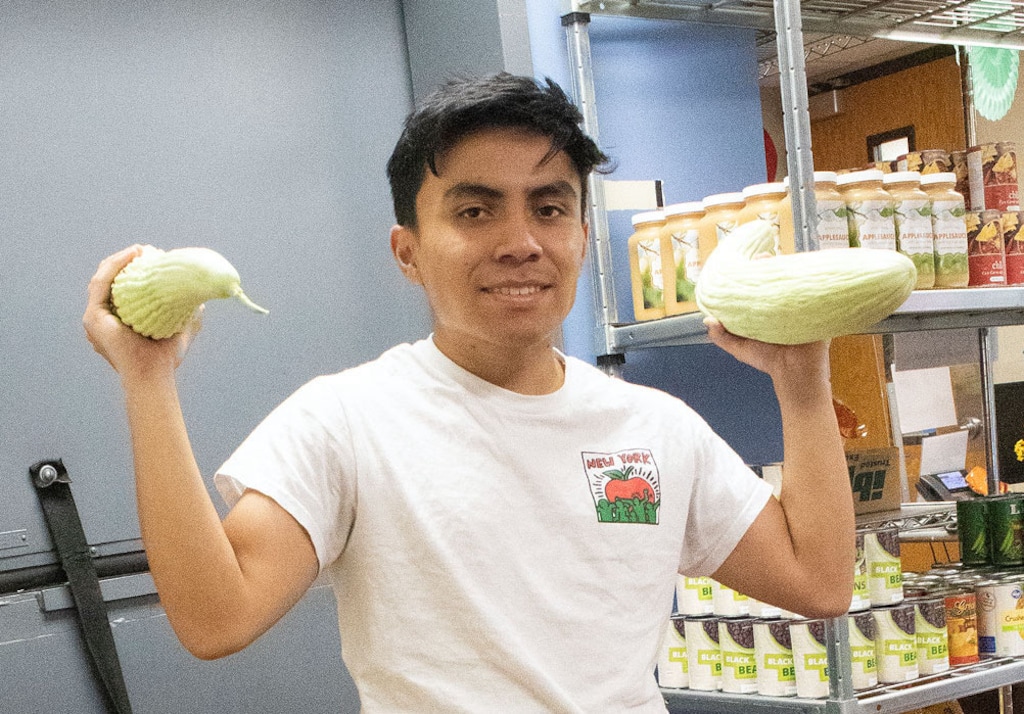 (Kasie Bussard | The Globe, SLCC) Alex Bonifaz, an employee at the Bruin Pantry location at Salt Lake Community College's Taylorsville campus, holds up Armenian cucumbers, among the recent donations to the pantry, which is free to SLCC students and staff.