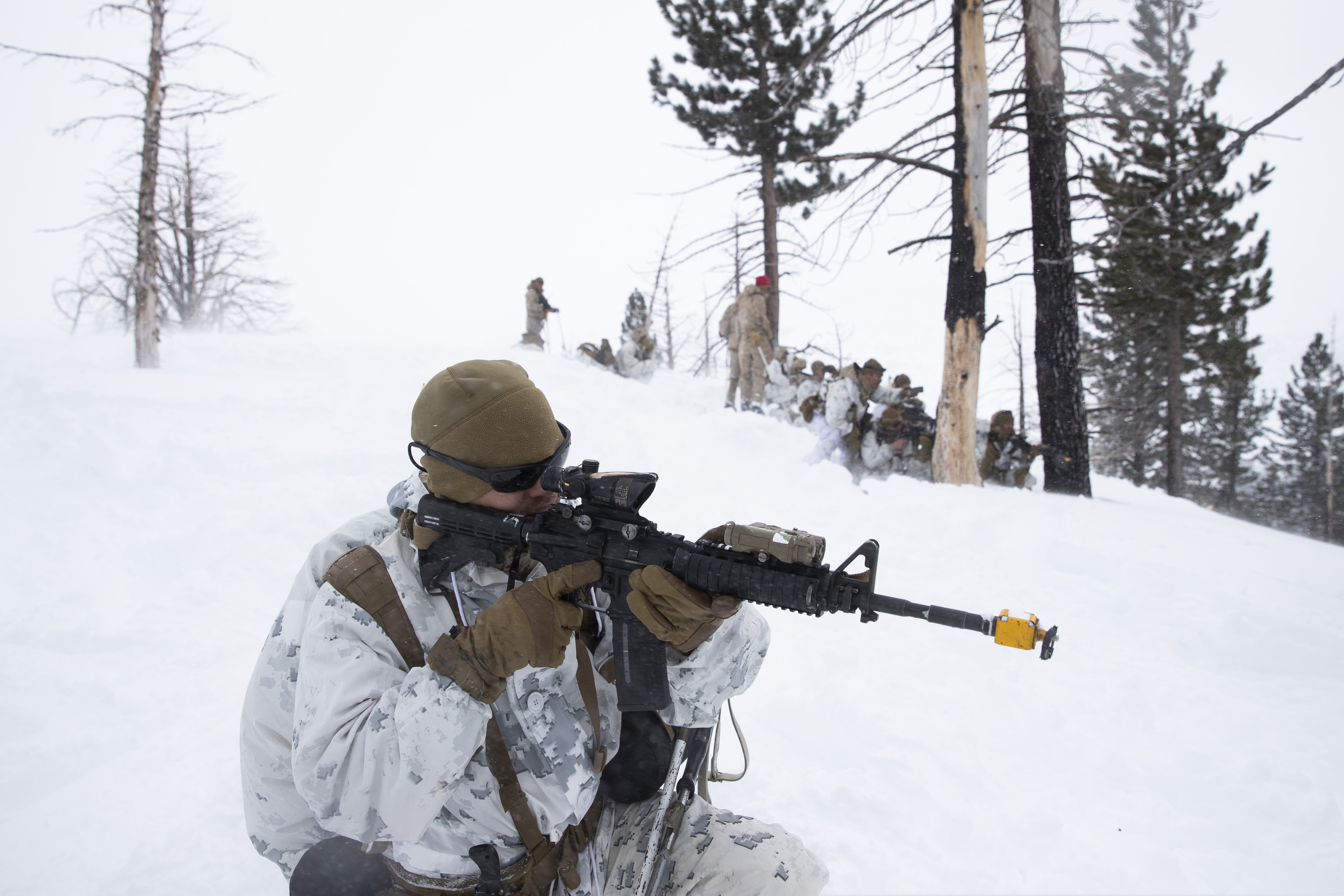 (Jae C. Hong | AP)  U.S. Marines take their positions during advanced cold-weather training at the Marine Corps Mountain Warfare Training Center Sunday, Feb. 10, 2019, in Bridgeport, Calif.