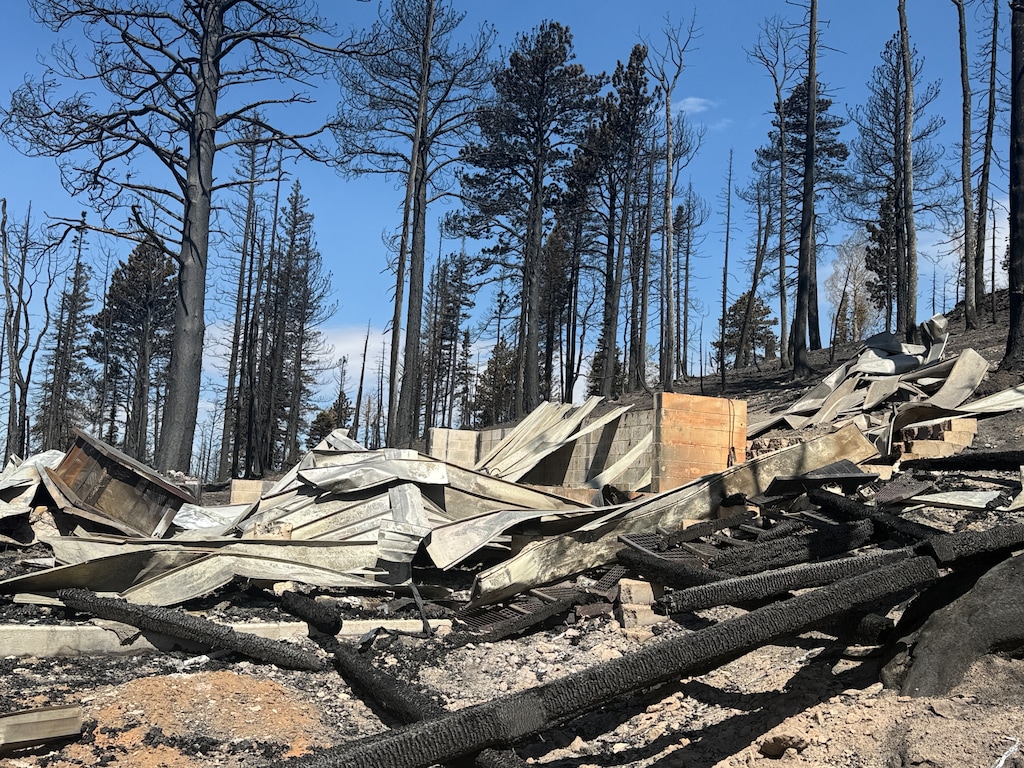 (James Bybee) Pictured is what's left of James Bybee's cabin above Beaver, Utah, after the Cottonwood Fire ripped through. He visited his property on Tuesday, June 30, 2026.