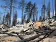 (James Bybee) Pictured is what's left of James Bybee's cabin above Beaver, Utah, after the Cottonwood Fire ripped through. He visited his property on Tuesday, June 30, 2026.