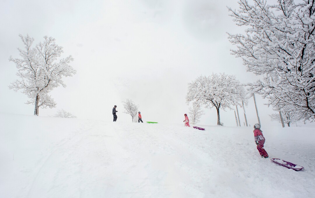 (Rick Egan  |  The Salt Lake Tribune)      Mark Fehlberg, and his kids, Desmond, Amelia and Kashmira, pull their sleds up the hill at Popperton Park, Monday, Jan. 21, 2019.