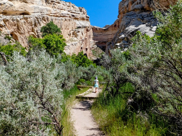 Erin Alberty  |  The Salt Lake TribuneA young hiker approaches Box Canyon on May 29, 2017 in Dinosaur National Monument.