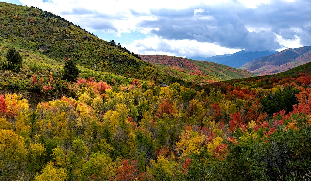 (Rick Egan | The Salt Lake Tribune) Fall foliage begins to appear near Midway, on Friday, Sept. 22, 2023.