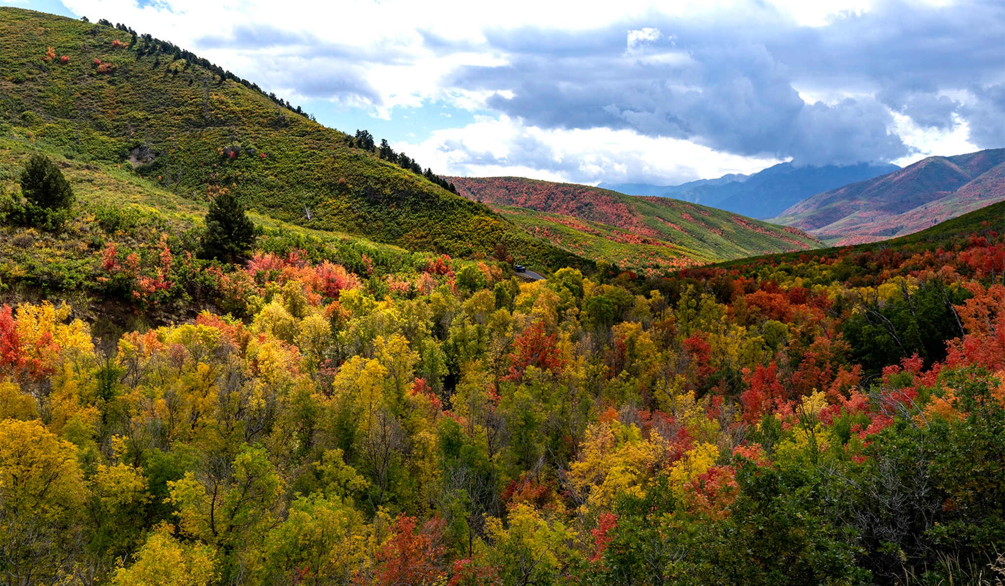 When will Utah's fall colors peak, and will drought dull them?