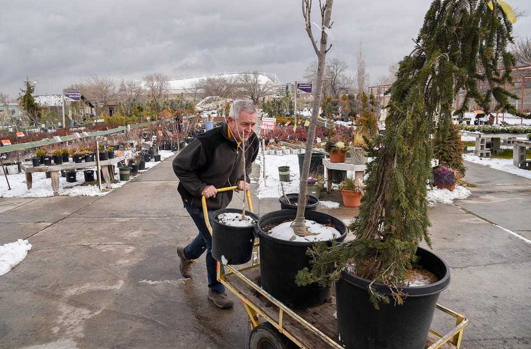 (Francisco Kjolseth  |  The Salt Lake Tribune)   Loren Nielsen, owner of Wasatch Shadows garden and landscape center in Sandy wheels trees out to a customers on the last official day of business on Wed. Dec. 12, 2018. Nielsen and his wife Debbie plan to stay until it is all gone with limited store hours. After 42 years the two are retiring. They have sold the 10 acre plot, just west of the Real Soccer Stadium, in background, to Sandy City for future development.