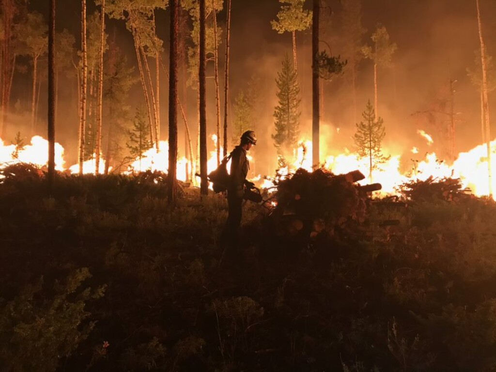 (Courtesy photo from the U.S. Forest Service) This provided photo shows a firefighter doing night firing operations on the East Fork Fire in the High Uintas Wilderness. The fire is expected to burn for another month.