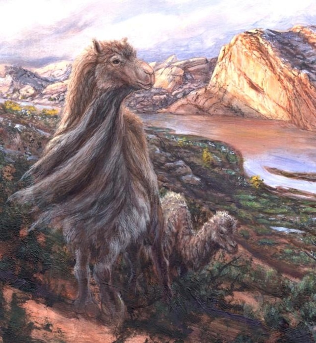 Brian Engh, courtesy Friends of the Utah Field House and Utah State Parks

Camelops hesternus roams along the Green River near Split Mountain 33,000 years ago in this artist rendering.