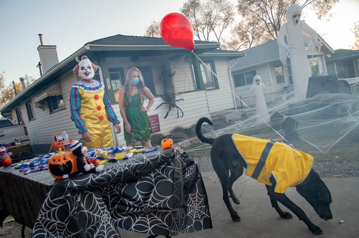 (Francisco Kjolseth  |  The Salt Lake Tribune) Zach Jones and Lauren Kwasniewski are joined by their dog Bob who completes the Georgie ensemble from the movie “IT,” as they sing up for the SugarHood Halloween as a treat giving household agreeing to abide by CDC Covid safety standards on Saturday, Oct. 31, 2020.