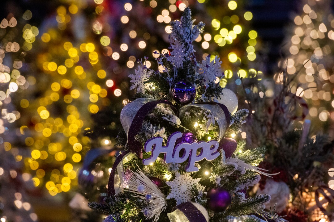 (Rick Egan | The Salt Lake Tribune) A detail on the top of one of the 150 trees that are a part of Festival of Trees, the Utah holiday fund-raiser for Primary Children's Hospital. This year's event, previewed to the media on Monday, Nov. 23, 2020, happens in Vivint Smart Home Arena, but will only be seen by the public online.