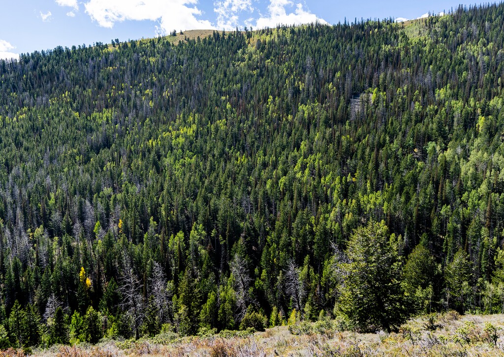 (Rick Egan | The Salt Lake Tribune) Utah’s Tabby Mountain area in the western Uinta Basin, on Thursday, Sept. 22, 2022.