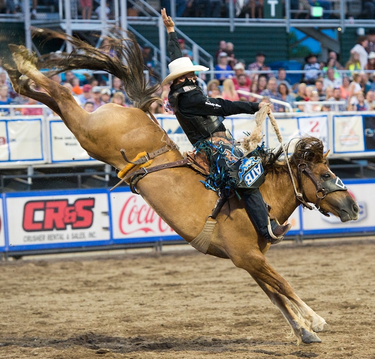 (Rick Egan  |  The Salt Lake Tribune) The Saddle Bronc competition during the Days of ’47 Rodeo in 2017.
