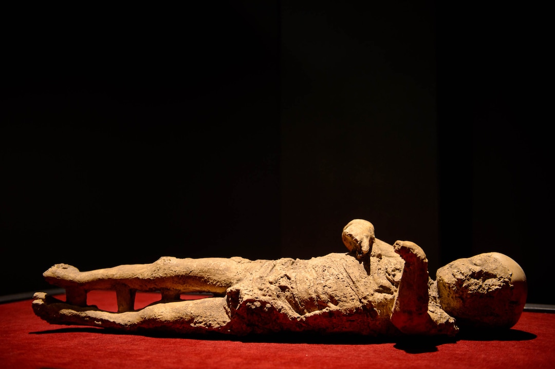 (Trent Nelson  |  The Salt Lake Tribune) "Child," part of Pompeii: The Exhibition, opening Saturday at The Leonardo in Salt Lake City on Thursday Nov. 21, 2019.