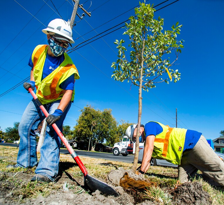 (Rick Egan  |  The Salt Lake Tribune)   Shiloh Johnson and Wally Patterson plant a tree along with more than 100 volunteers from Dominion Energy to plant 205 trees in the Fairpark neighborhood, which is said to be single largest volunteer tree planting event in Salt Lake City, on Thursday, Oct. 1, 2020.