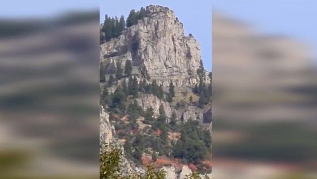 (Fox 13 News)