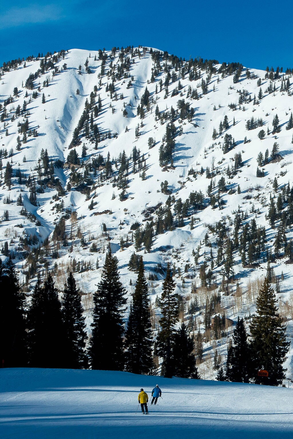 (Trent Nelson  |  Tribune file photo) Skiers at the Alta in 2015.