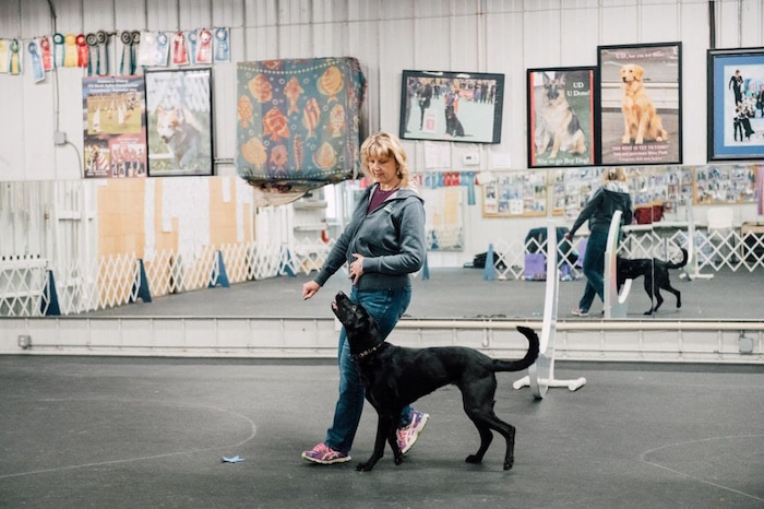 Linda Brennan and Heart train at Top Dog Obedience School in Flanders, N.J., ahead of the obedience competition at the Westminster dog show. (Vincent Tullo for The Washington Post)