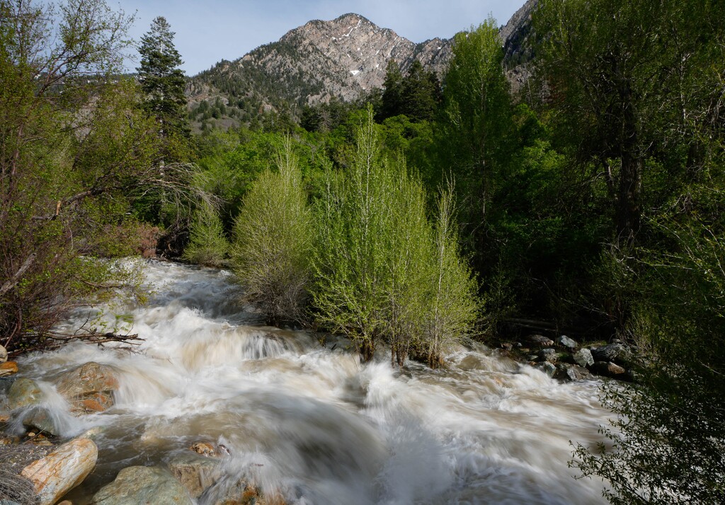 (Francisco Kjolseth | The Salt Lake Tribune) Swift currents surge through Big Cottonwood Creek on Tuesday, May 16, 2023. Salt Lake City utilities officials say extra runoff in the creek won't affect the quality of water that is delivered to residents.