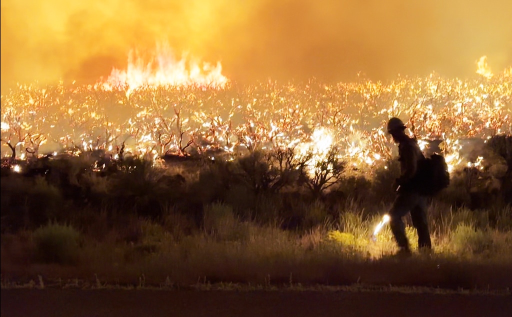 Flames glow bright along a mountainside. A silhouette of a firefighter carrying a drip torch is seen near the front of the image.