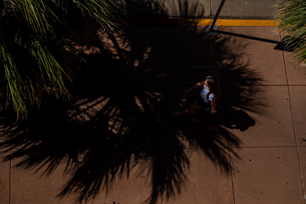 (Trent Nelson  |  The Salt Lake Tribune) Palm trees providing shade in downtown St. George on Thursday, June 25, 2026.