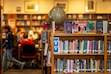 (Trent Nelson | The Salt Lake Tribune) The school library at West High School in Salt Lake City. A new state survey will direct school library staff across the state to detail their book purchases, spending and more.