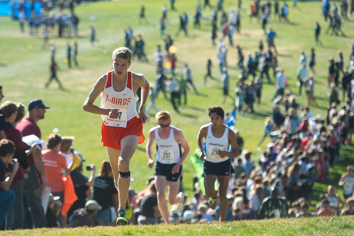 (Chris Detrick  |  The Salt Lake Tribune)  Timpview senior Aidan Troutner competes during the 5A boy's state cross-country meet at Sugar House Park and Highland High School Wednesday, October 18, 2017. 