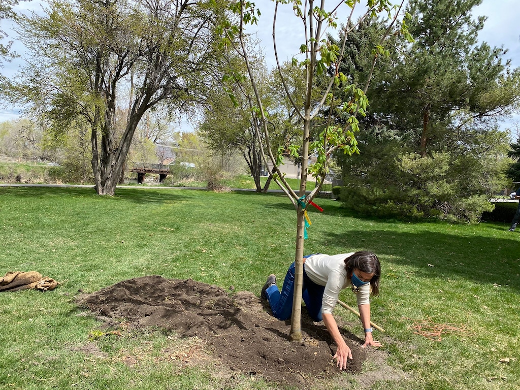 (Photo courtesy of Salt Lake City Mayor Erin Mendenhall via Twitter) Salt Lake City Mayor Erin Mendenhall helps plant a tree during a ceremony at the International Peace Gardens in Jordan Park on Monday, April 19, 2021. Mendenhall has committed to planting 1,000 trees in Salt Lake City's west side every year of her term as mayor.